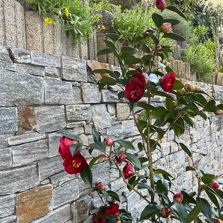 Zumglueckfrei Апартаменты Пассау